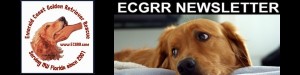 ecgrr-newsletterlogo